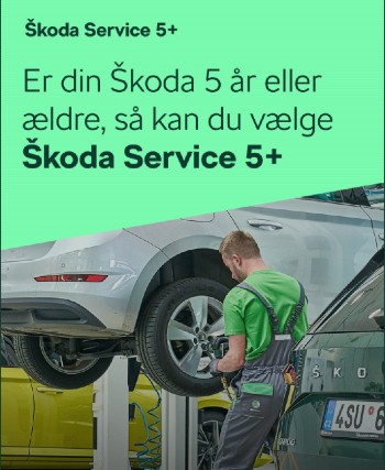  5+ Service kampagne